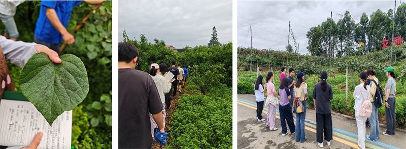 首個！中國農業(yè)大學攜手新朝陽啟動“朝陽稼穡計劃”