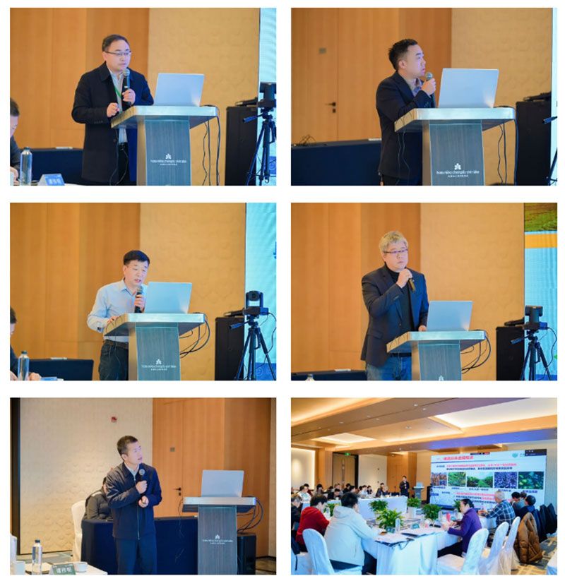 新朝陽牽頭的國家重點研發(fā)計劃項目中期總結(jié)會在成都召開