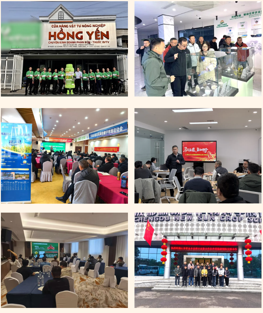 快馬加鞭戰春耕，馬年奮進正當時