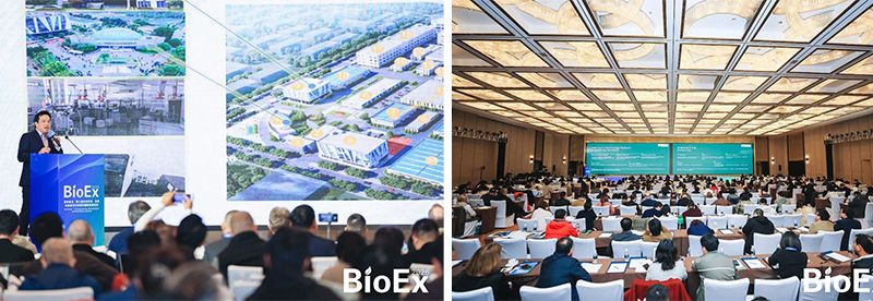 新朝陽亮相BioEx 2026：技術供給+屬地化協同，推動高性能生物刺激素高效落地