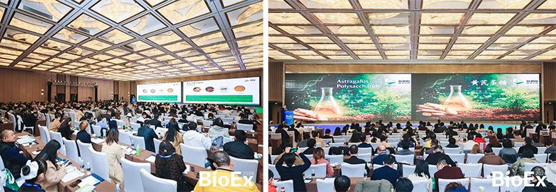 新朝陽亮相BioEx 2026：技術供給+屬地化協同，推動高性能生物刺激素高效落地