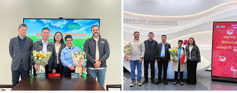 深化國際化布局，新朝陽與巴西Juliagro簽署戰略合作協議
